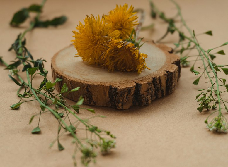 Dried yellow flower and green sprigs on a wooden slice
