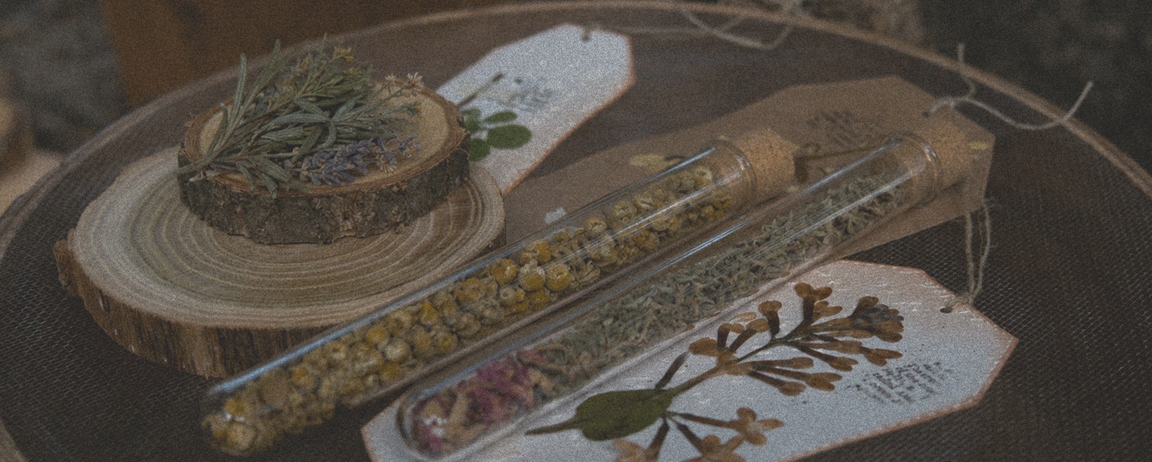 Traditional botanical manuscripts and dried herbs used in Zenthya formulas