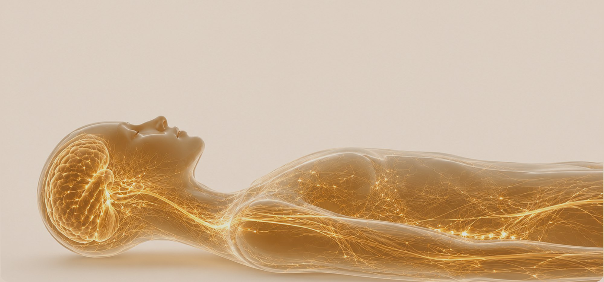 Illustration of a reclining figure showing the body at rest during sleep